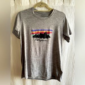 Medium- Patigonia Dri-Fit T-Shirt
